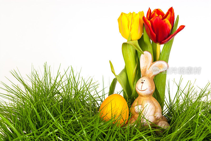 复活节彩蛋，郁金香和复活节兔子