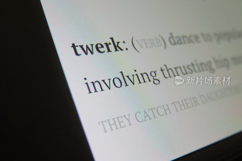 twerk字典的定义