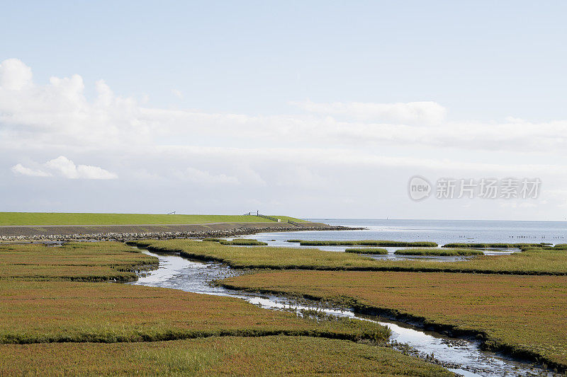 荷兰景观:盐沼中的水溪(Terschelling)