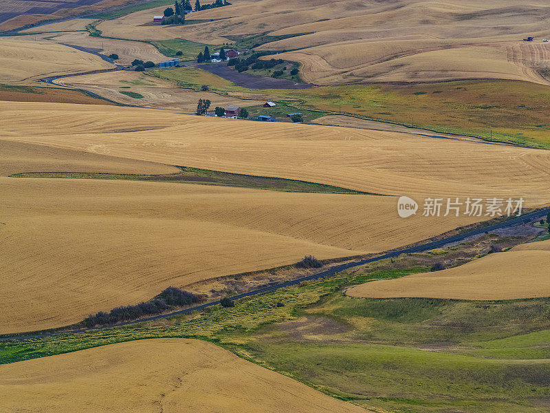 秋天的麦田，帕卢斯，美国WA