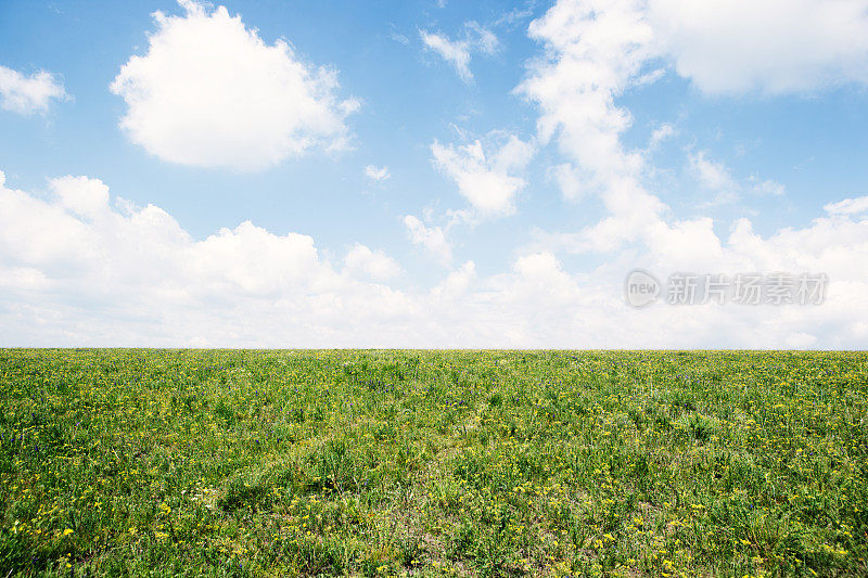 夏天的草原