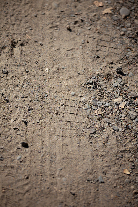 泥土路上的脚印和轮胎印