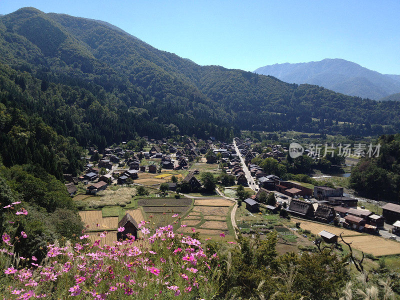 日本的白川吾和五山