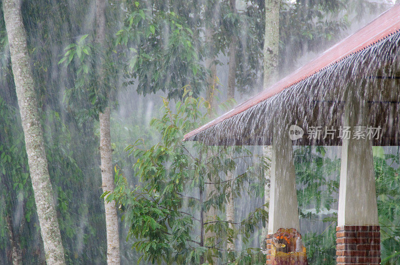 大雨