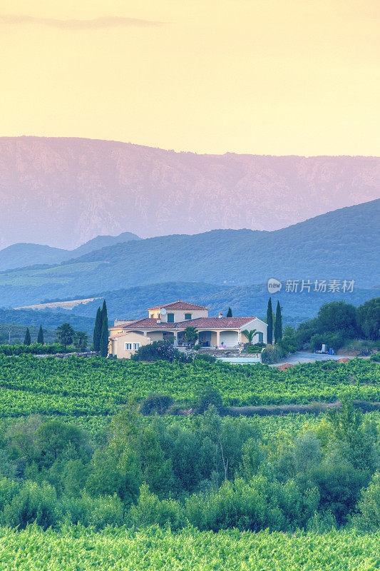 朗格多克-鲁西永(Languedoc-Roussillon)带有葡萄园的房子