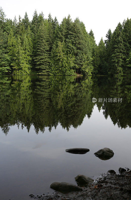 森林和湖在纳奈莫，温哥华岛，不列颠哥伦比亚省，加拿大