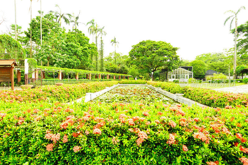 台湾台北植物园