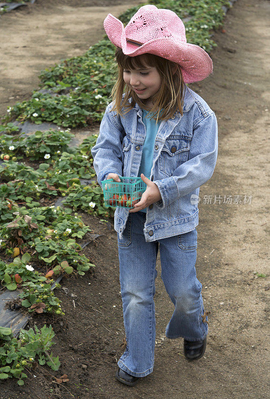 摘草莓的乡村女孩