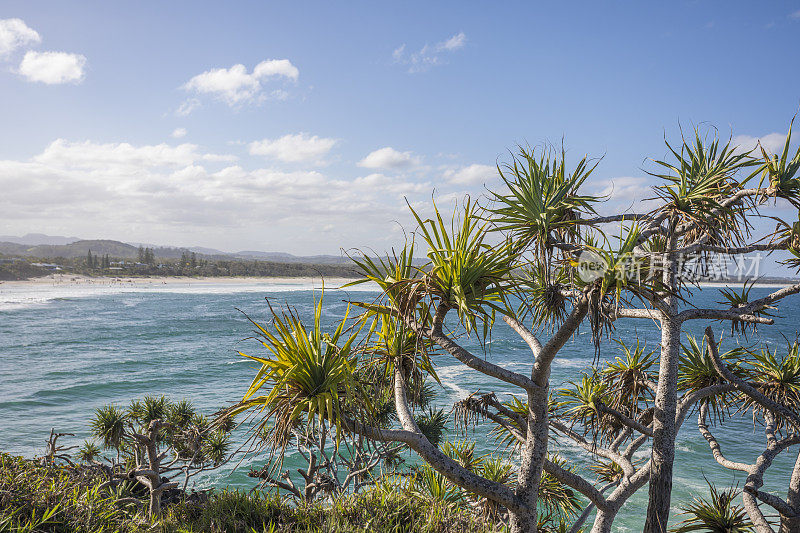 纯净的海滩在卡布里塔，新南威尔士，澳大利亚