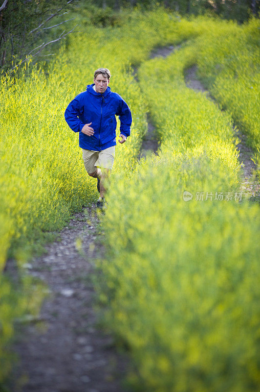 在科罗拉多州，一名男子在一条长满野花的路上奔跑