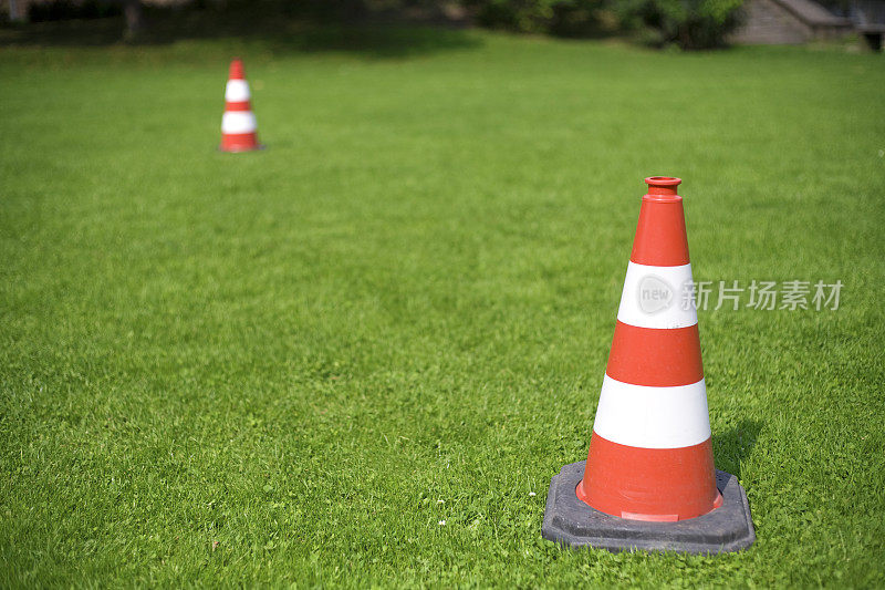 在草地终点线或起跑线上有两个球果