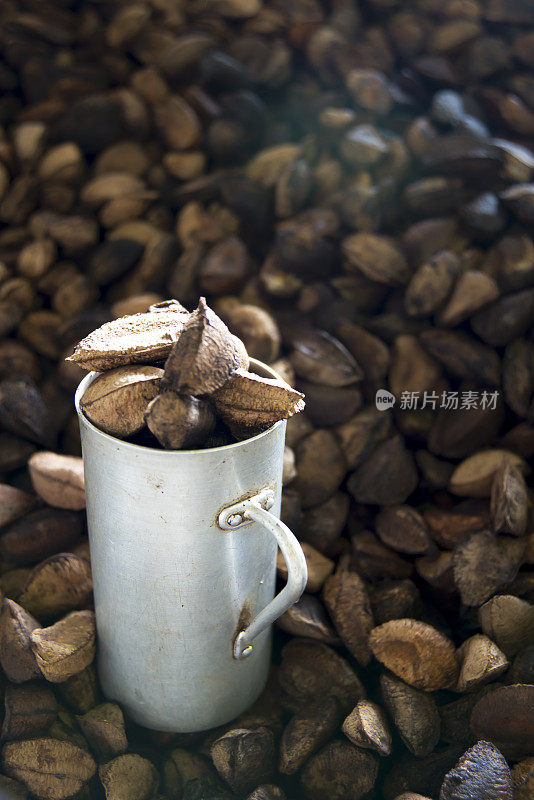 金属杯和巴西螺母