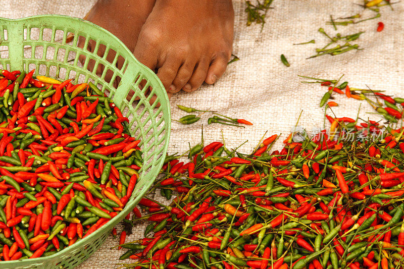 老挝:琅勃拉邦，赤脚在市场上卖辣椒