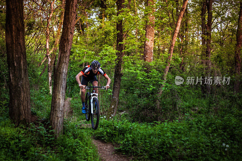 山地自行车骑在森林的越野轨道上