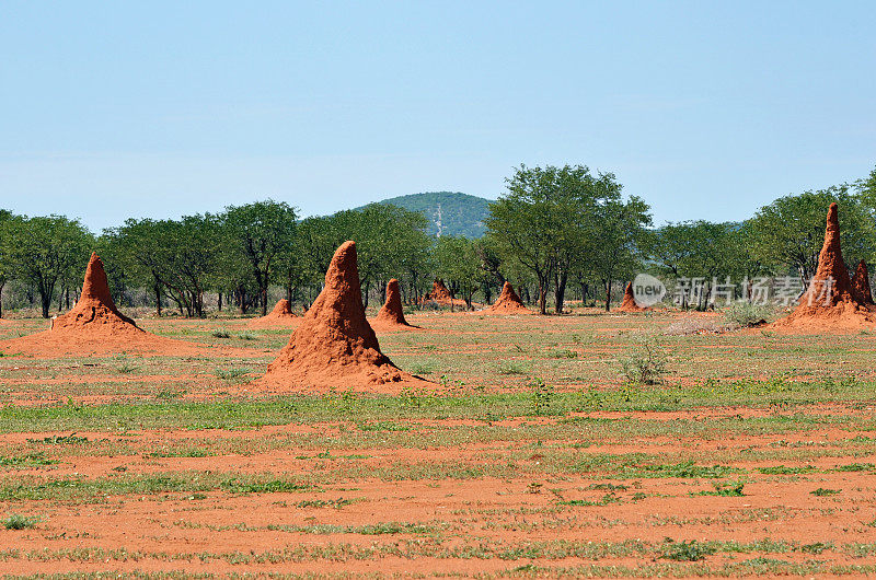 纳米比亚、白蚁丘
