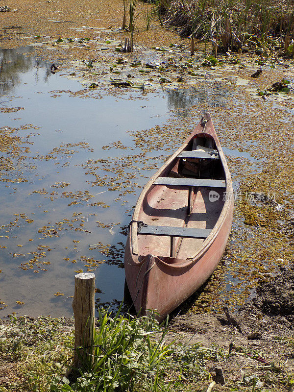 独木舟停泊在岸边的泥里