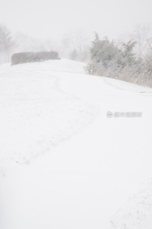 雪正在下降