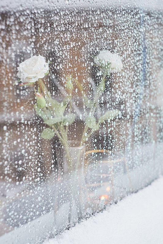 窗外是暴雪日