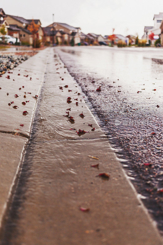 低角街景大雨在住宅小城镇美国