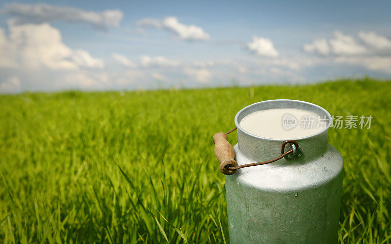 绿色草地上的牛奶罐