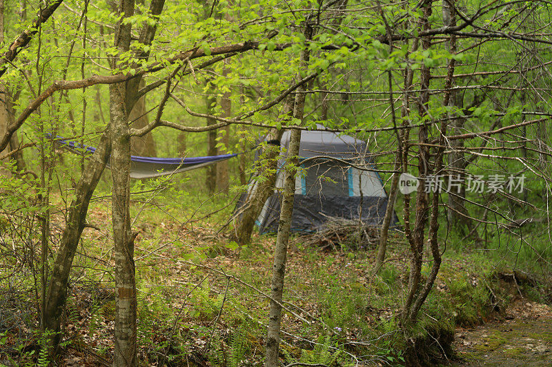 美丽的田纳西营地，帐篷，吊床景观