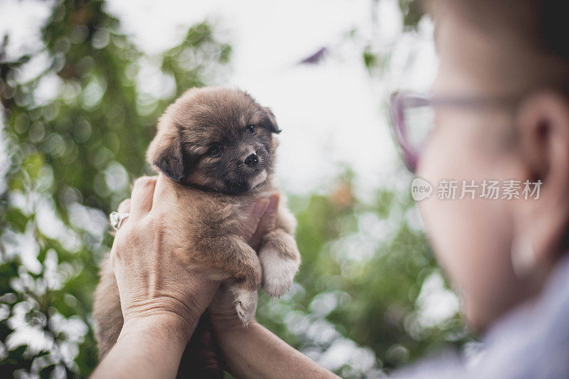 一个女人抱着一只小狗