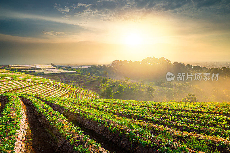 泰国北部的山景，日出和薄雾