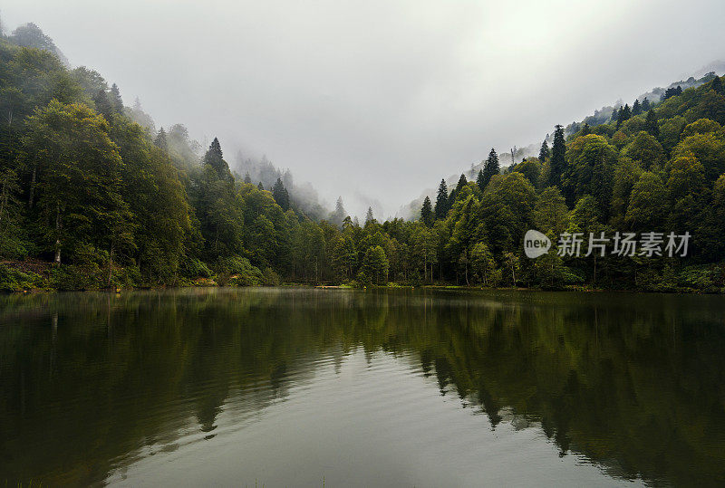 黎明时分湖面上的薄雾，树木和倒影