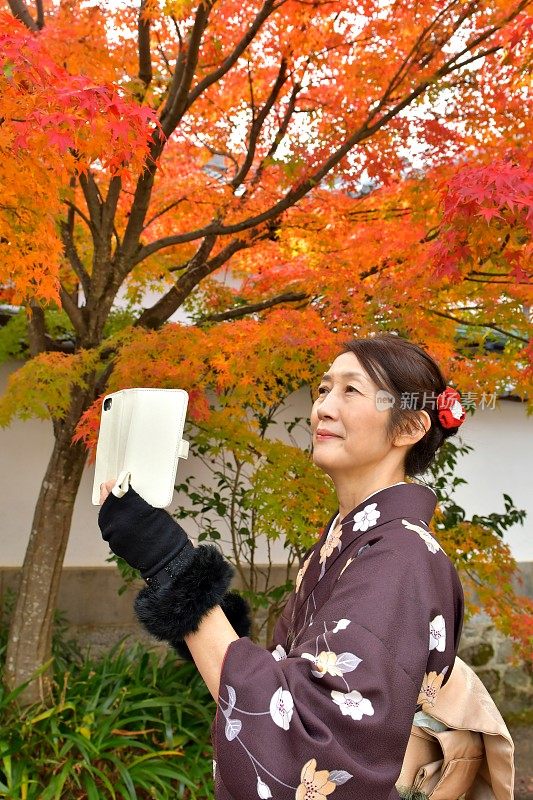 穿着和服的日本妇女在京都拍摄秋叶