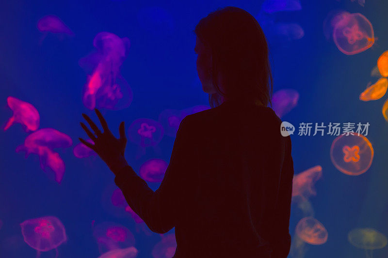 在水族馆里看水母的女人