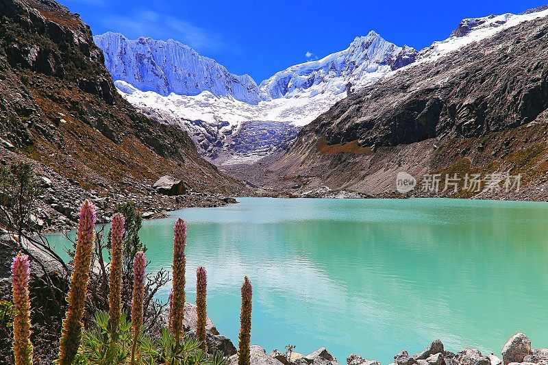秘鲁安第斯山脉的拉古纳·拉卡山脉，有冰川和野花