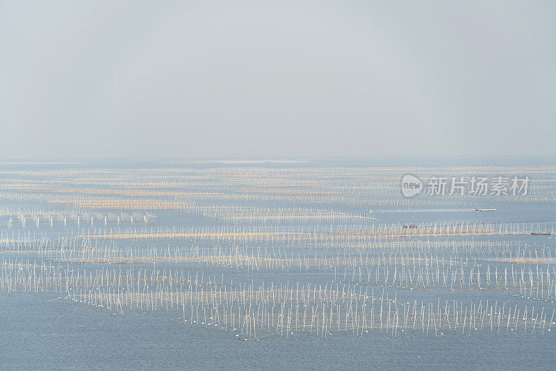 海上渔场