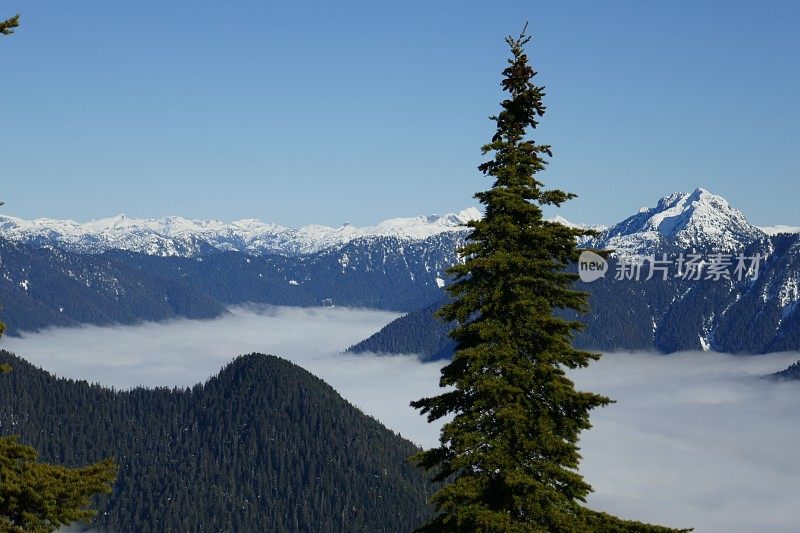 BC山脉的全景