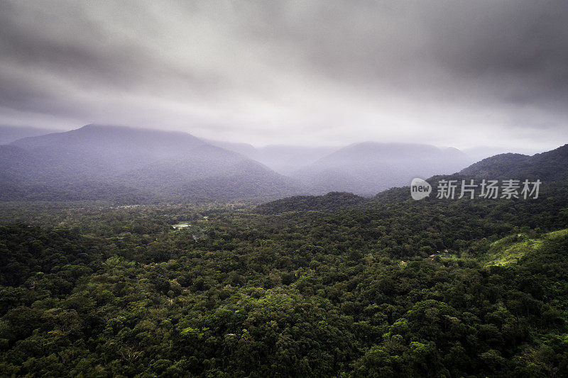 热带雨林的鸟瞰图