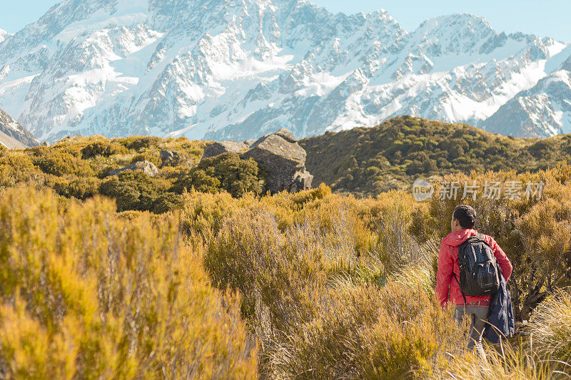 新西兰库克山;独自徒步旅行者在阳光下在库克山徒步路线。