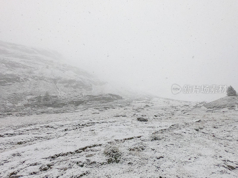 瑞士阿尔卑斯山的下雪天