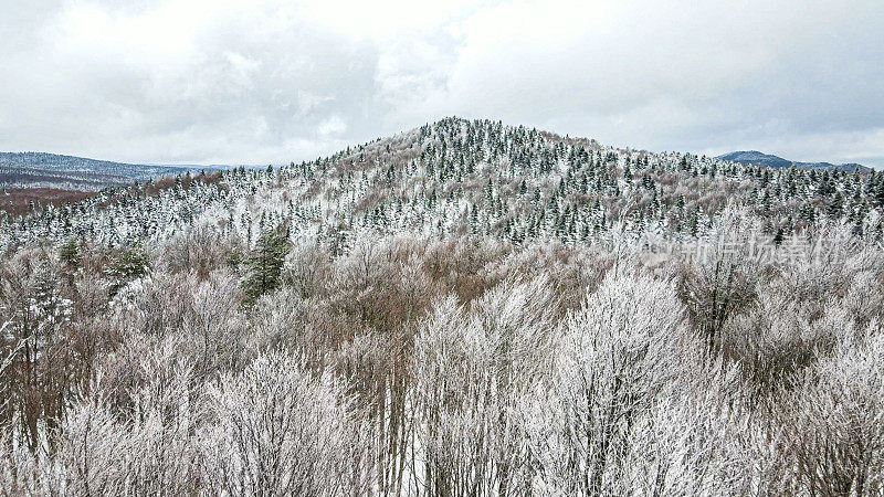 冬季山地、雪山松林、冻林、雪山景观鸟瞰图、雪山山顶、雪松