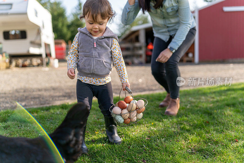快乐的小女孩帮助她的妈妈在他们的农场收集鸡蛋