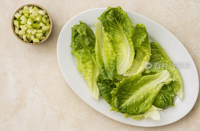 新鲜长叶莴苣和切碎的芹菜