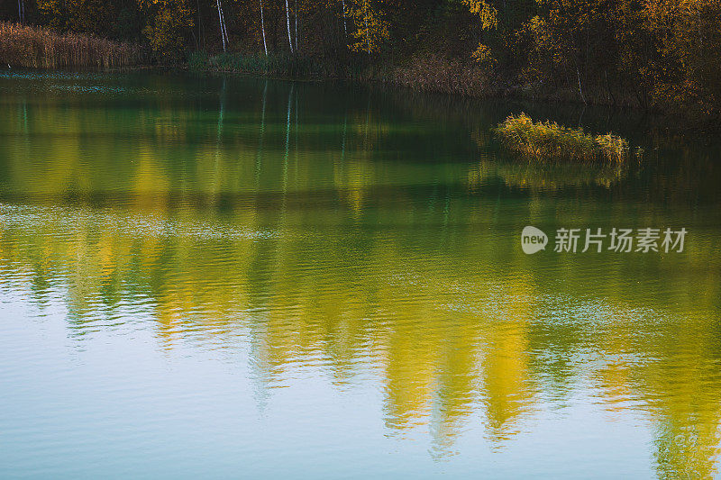 湖水碧蓝。池塘。秋天的自然背景。黄色的秋叶。美丽的大自然。精灵森林。阳光灿烂的日子