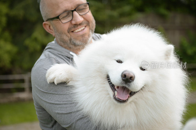 成熟的成年人带着萨摩犬在户外