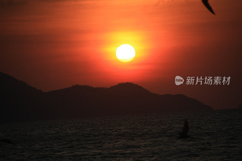 一群鸟排成队形飞过黄色的天空