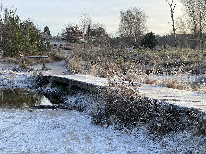 冬天的日出在冰冻的小溪上