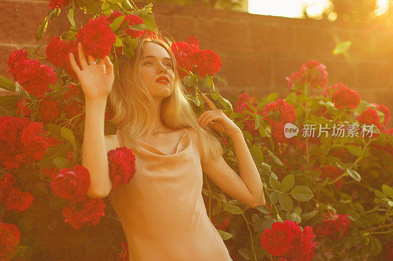 金发女人是玫瑰花园