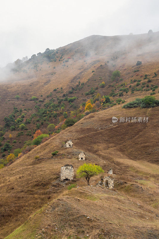 雾气弥漫的山坡上古老的家族墓穴。位于俄罗斯印古什山脉尽头的耶拉峡谷的老尔孜塔建筑群。