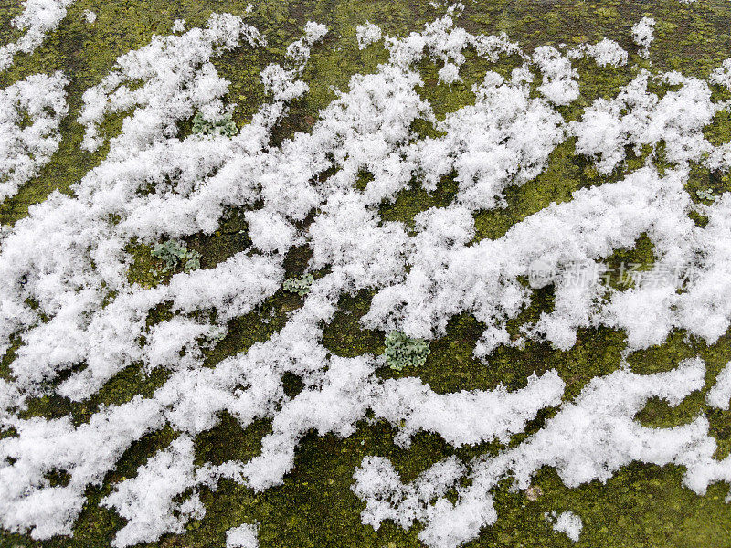 旧的、泛绿的板凳背盖上了新雪。