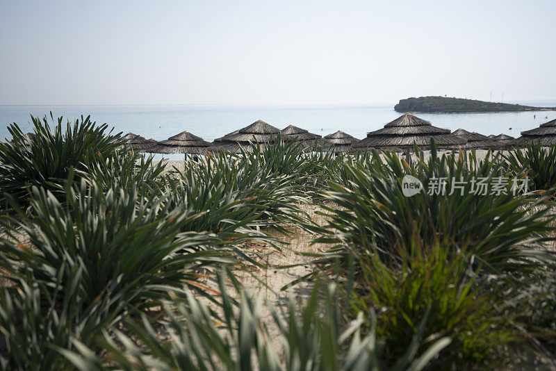 阿基亚纳帕，塞浦路斯