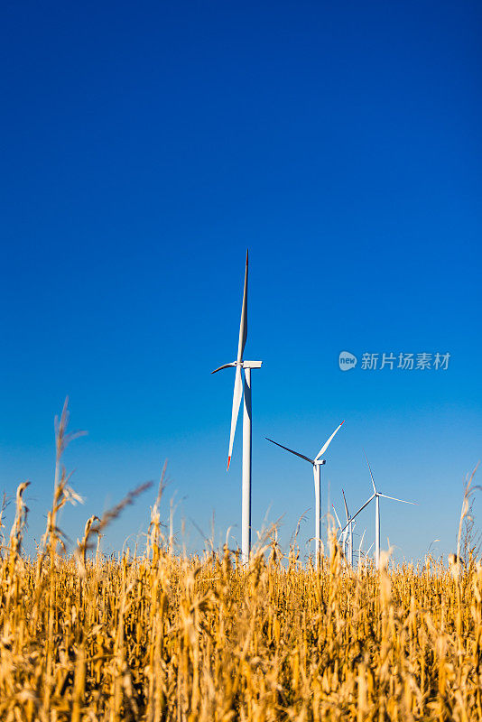 风力涡轮机农场在一个农业领域与一个美丽的蓝天和云