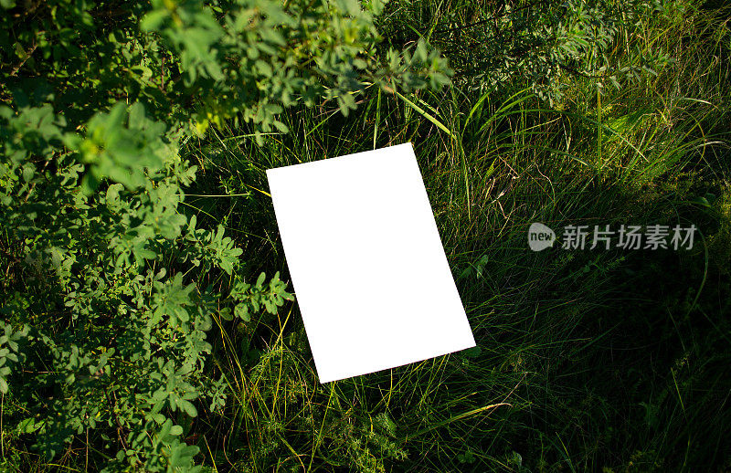 绿色草地上的白色A4纸的模型，前景是灌木丛中模糊的树枝。