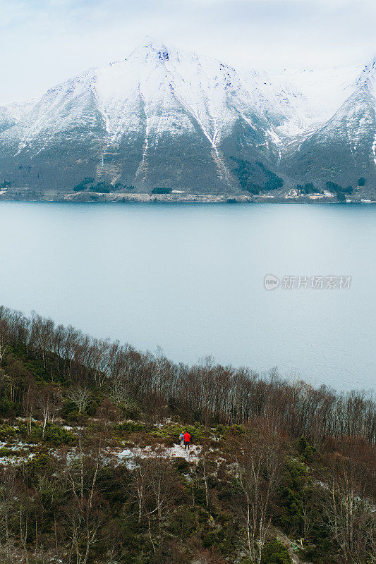 鸟瞰图:女人和男人带着狗呆在山顶上欣赏挪威冬季峡湾的风景